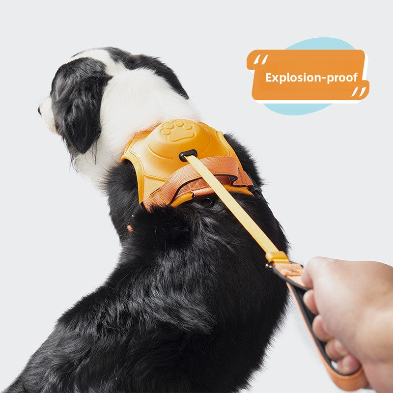 Retractable Dog Leash Vest Harness