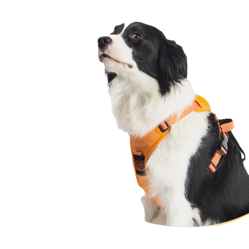 Retractable Dog Leash Vest Harness
