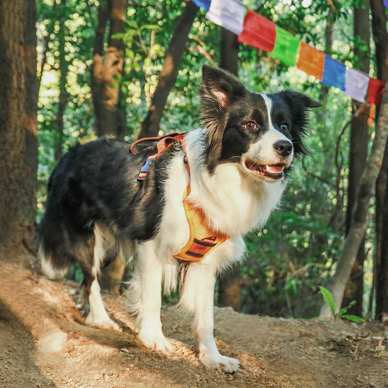 Retractable Dog Leash Vest Harness